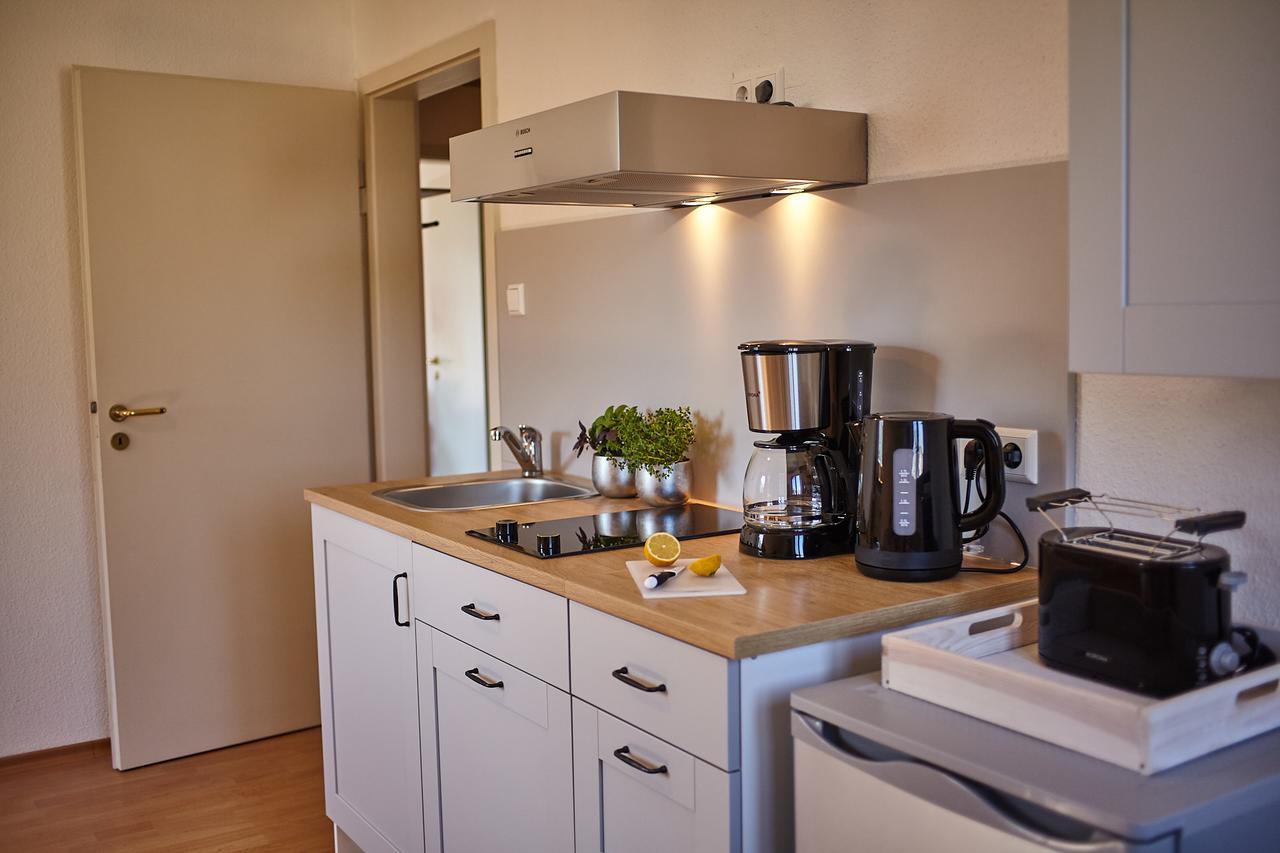 Bodensee Apartment Friedrichshafen Seenah Ngoại thất bức ảnh